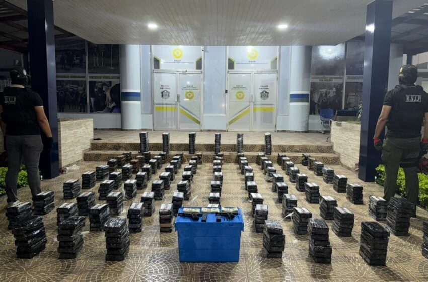 Tras dos operativos simultáneos, más de 600 paquetes con presunta droga fueron incautados