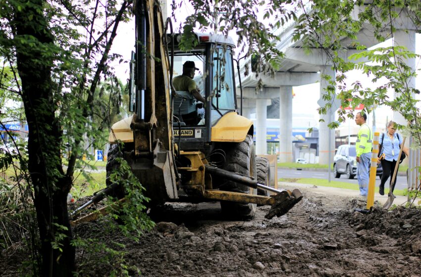 Intensifican trabajos de mantenimiento en la Vía Domingo Díaz para prevenir inundaciones y agilizar el tráfico
