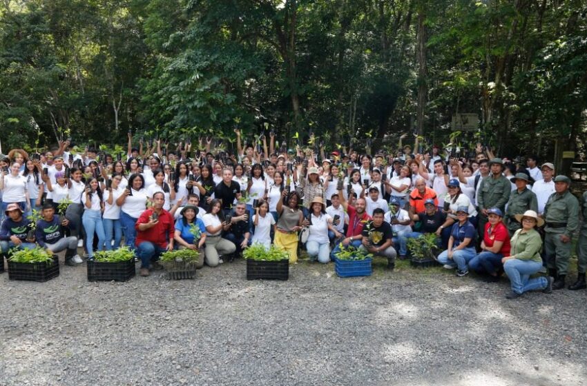 Educación y ambiente unidos en jornada de preparación de plantones para reforestación