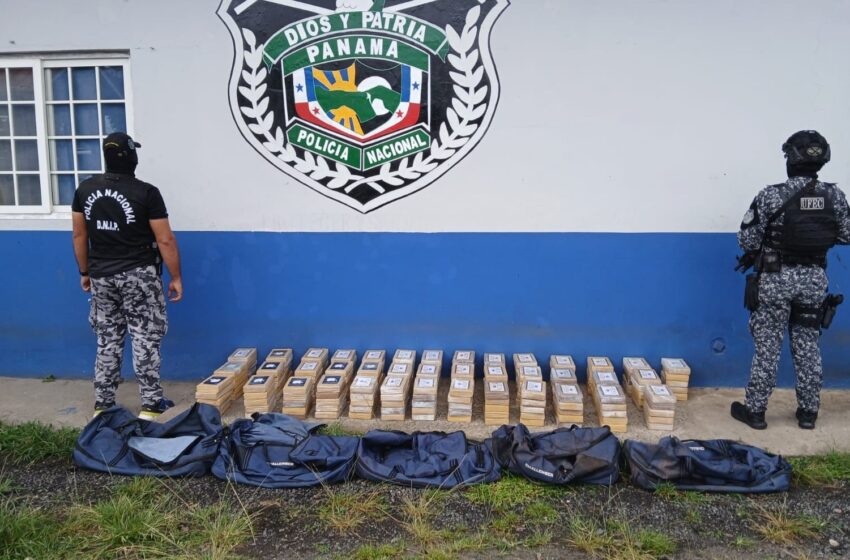 Decomisan 200 paquetes de droga en Mañanitas