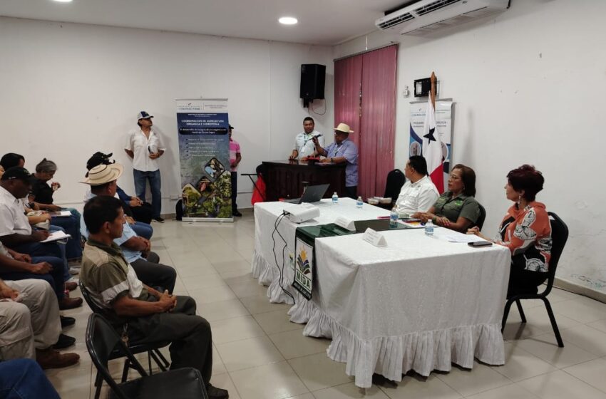 Productores de Panamá Oeste fortalecen sus habilidades agrícolas