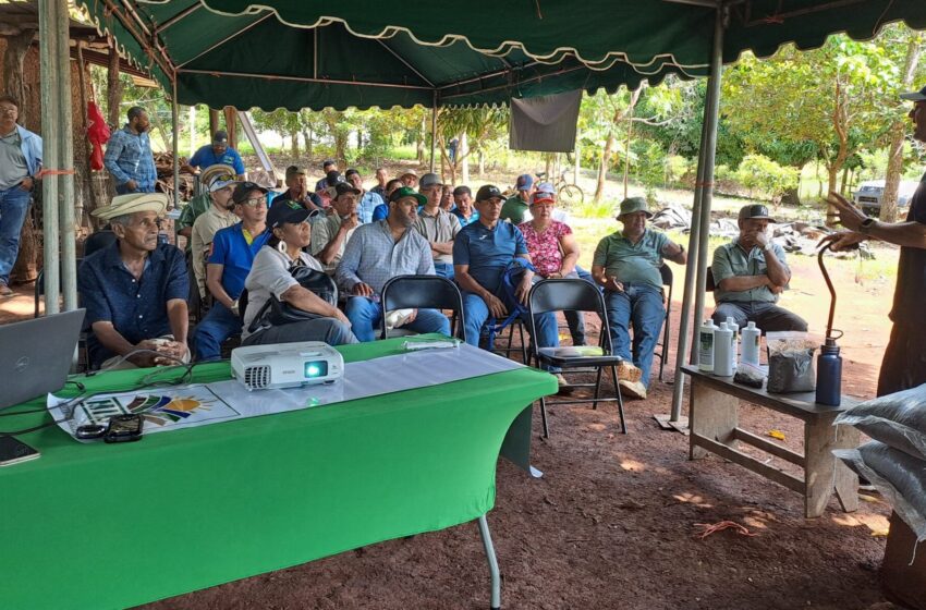  Productores y técnicos de Herrera refuerzan sus conocimientos en agricultura orgánica sostenible