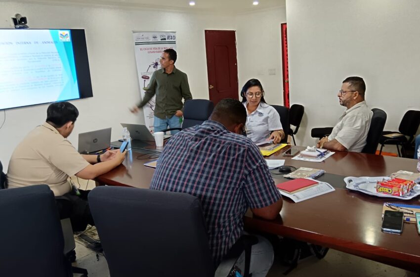  Panamá fortalece su salud animal con capacitación en epidemiología