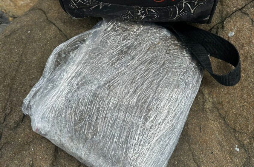 Arrojan presunta droga desde un auto en el Puente de las Américas