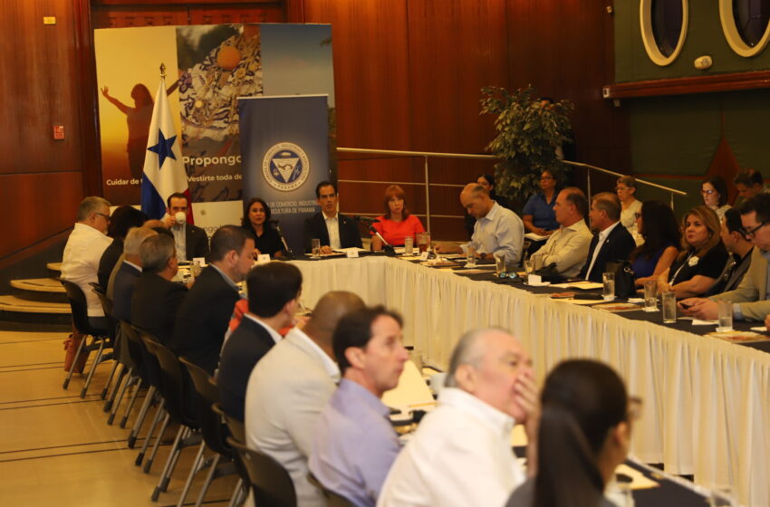  «Proyecto de Río Indio es crítico para el bienestar y desarrollo del país», advierte la CCIAP