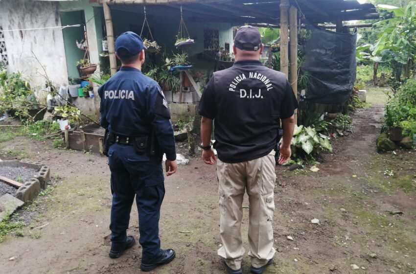  Realizan allanamientos en Bugaba por casos de hurto pecuario