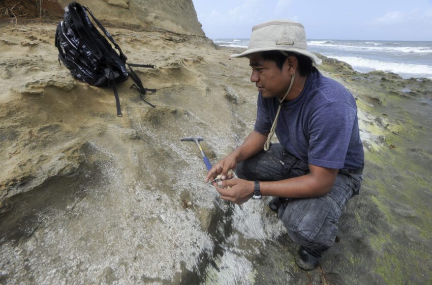 Científico panameño identifica pez de aguas profundas que aporta nuevas evidencias sobre el cierre del Istmo de Panamá