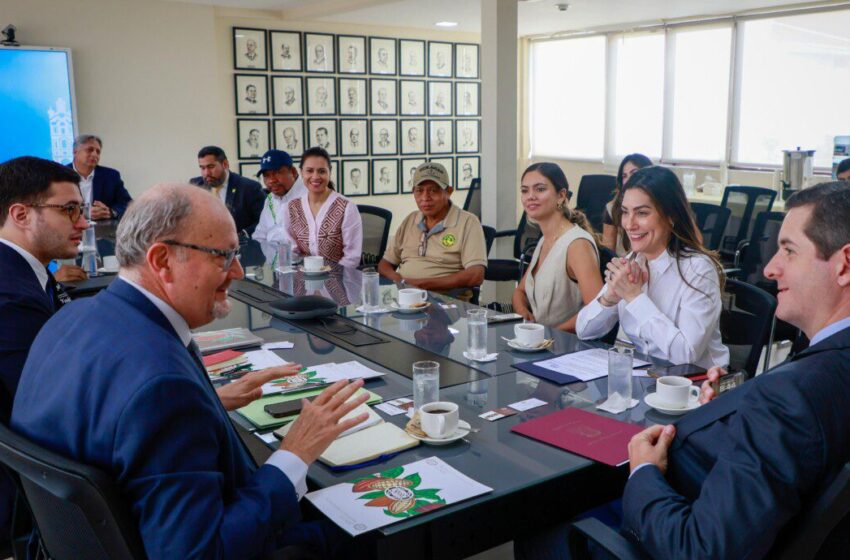 Panamá avanza en el desarrollo del cacao sostenible mediante alianzas internacionales