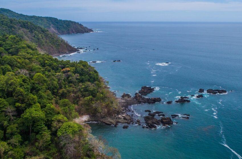 Nature Pledge y Fondo Panamá Natural: dos apuestas panameñas para proteger la biodiversidad