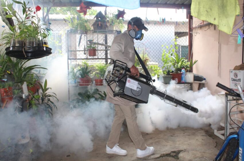  San Miguelito refuerza acciones contra el dengue