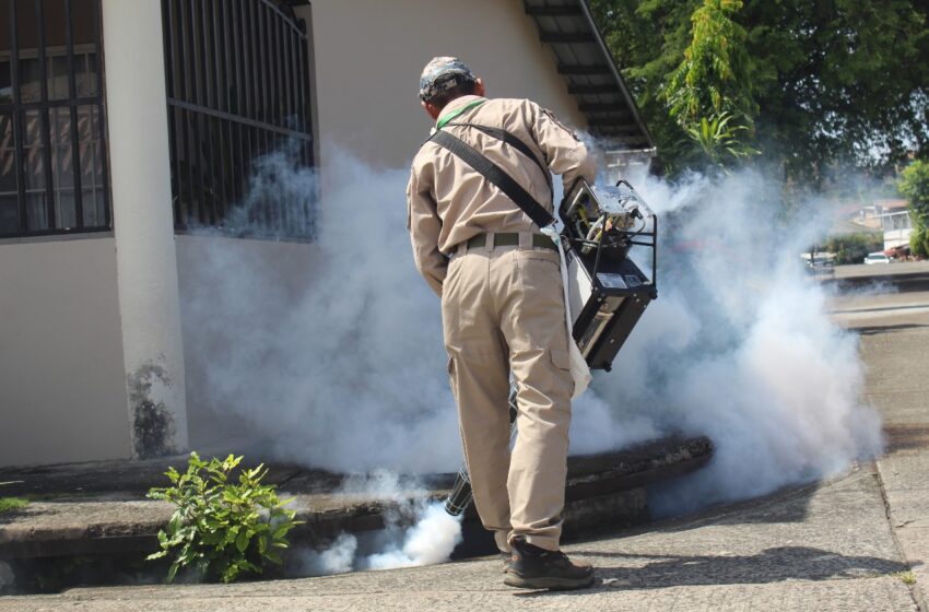 San Miguelito registra el mayor número de casos de dengue acumulados en el país