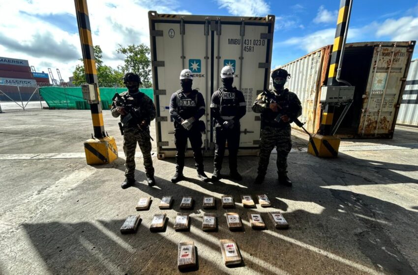 Incautan 16 paquetes de presunta droga ocultos en contenedor con destino a Irlanda