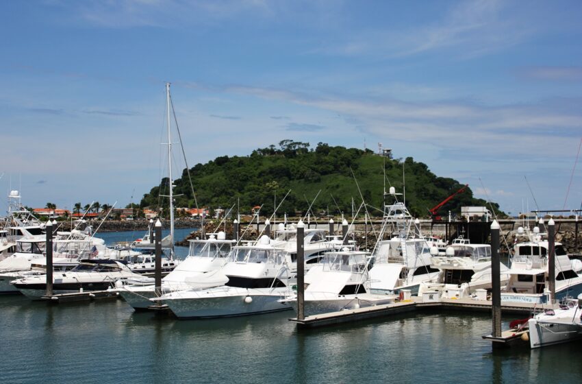  AMP rechaza concesión en Isla Perico por incumplir requisitos legales