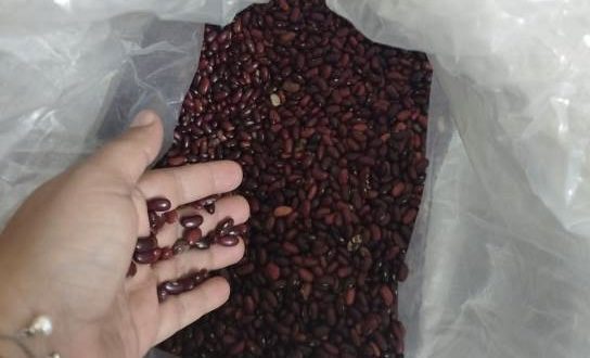 Aduanas retiene frijoles de presunto contrabando