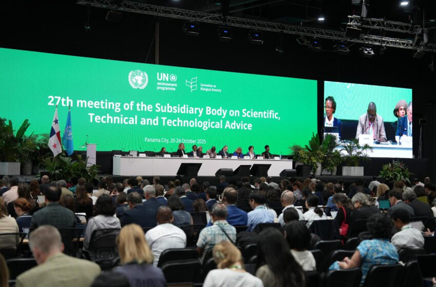  Panamá recibe a expertos mundiales de la Convención sobre Biodiversidad