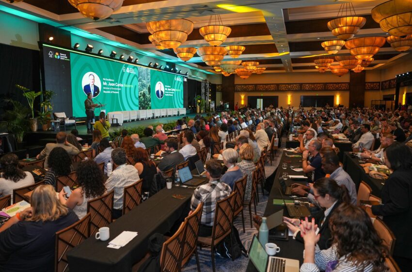  1,200 expertos mundiales del Forest Standarship Council se reúnen enPanamá