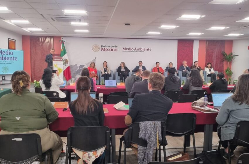  Panamá participa en la 2ª Reunión de los Estados del Área de Distribución del Jaguar en México