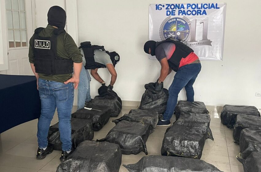 Operativo “Escudo Azul” da importante golpe al narcotráfico en Pacora