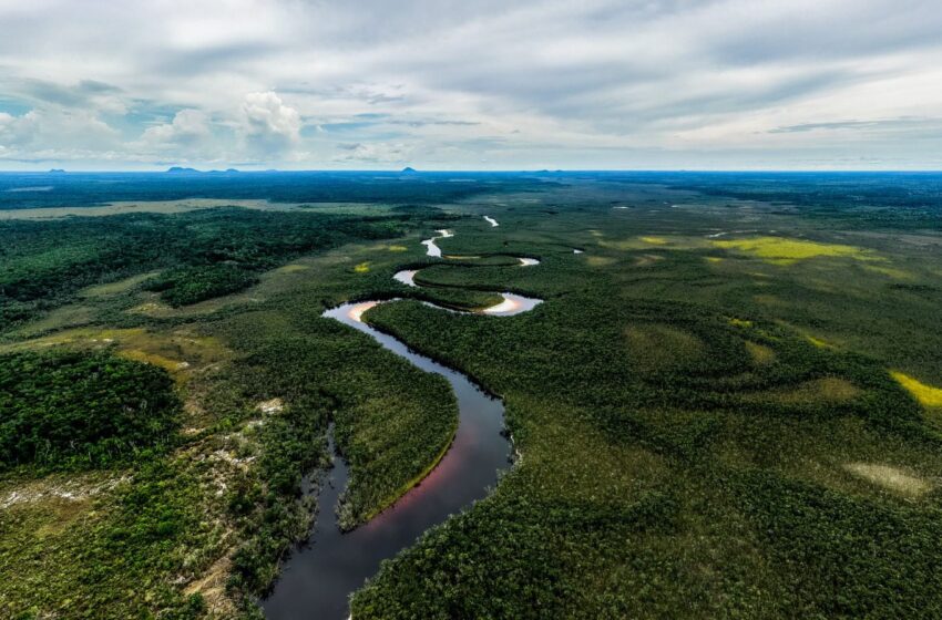  CAF destinará USD 40.000 millones en los próximos cinco años para impulsar el crecimiento verde