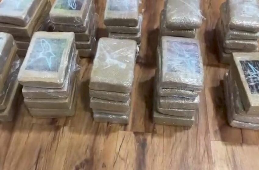  Decomisan 49 paquetes de droga dentro de un vehículo en Calidonia