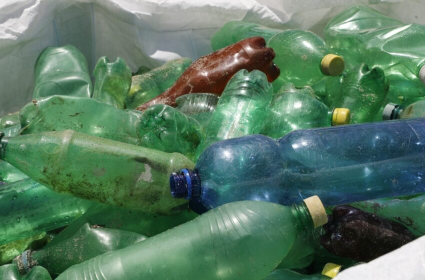  MiAmbiente prohíbe ingreso de plásticos y foam en áreas protegidas a partir de enero 2026