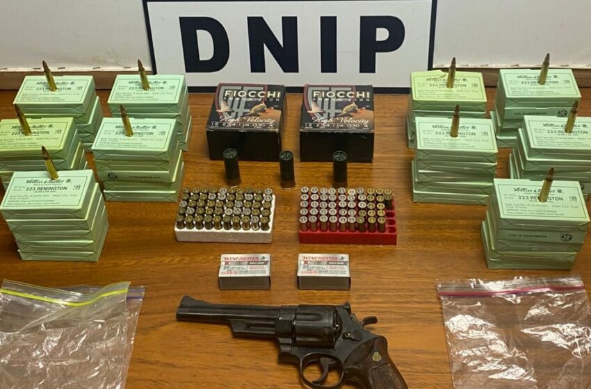  En Chiriquí: Más de 90 armas de fuego decomisadas en lo que va del año