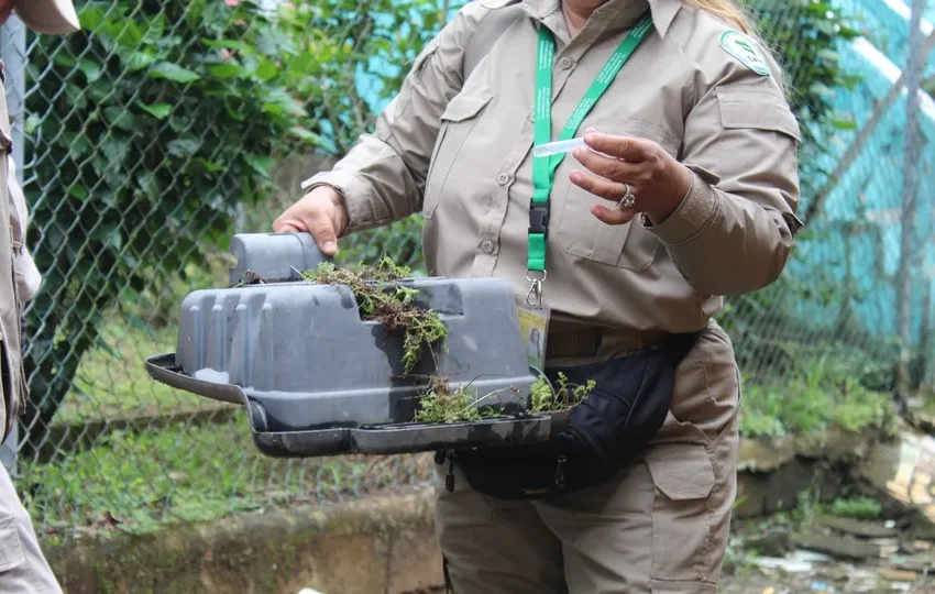  Autoridades refuerzan campaña: eliminar criaderos es clave para prevenir el dengue