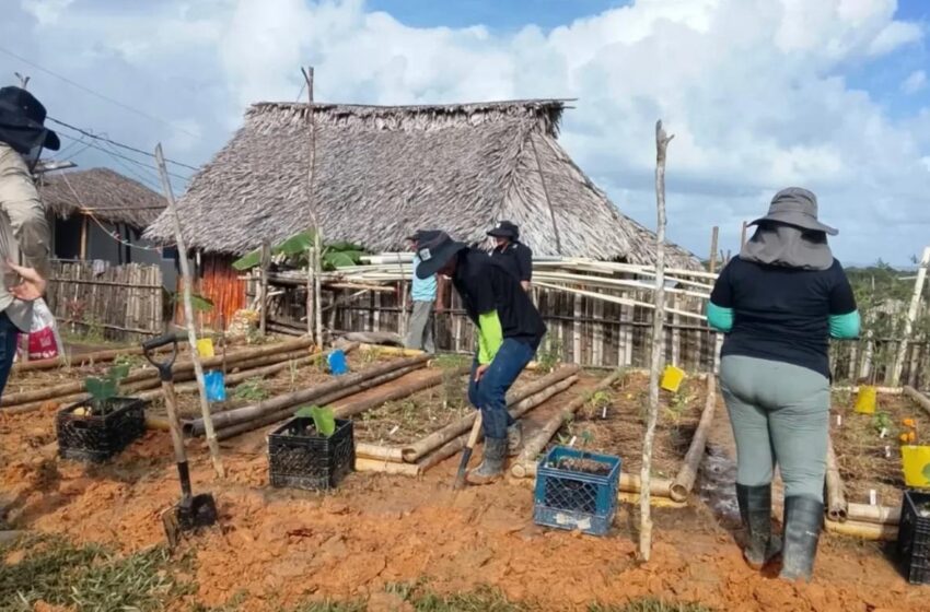  MIDA y Fondo Francia–Panamá impulsan huertos familiares en la comarca de Guna Yala