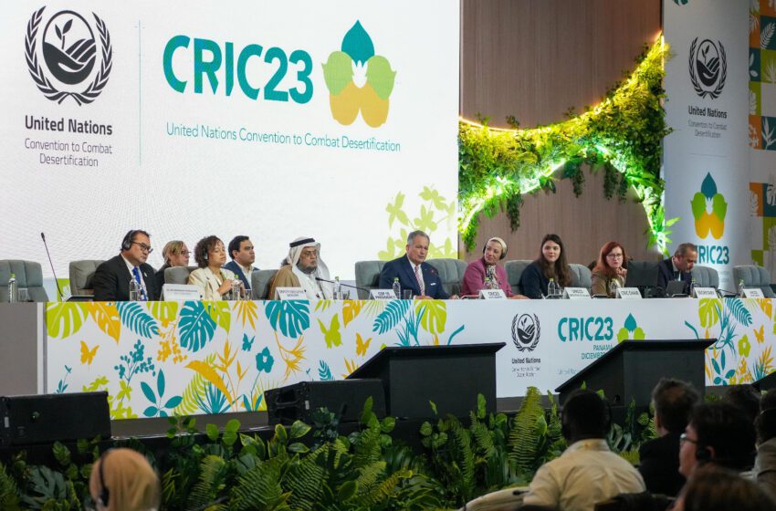  ONU celebra en Panamá cumbre internacional para enfrentar la pérdida de tierras fértiles y las sequías extremas