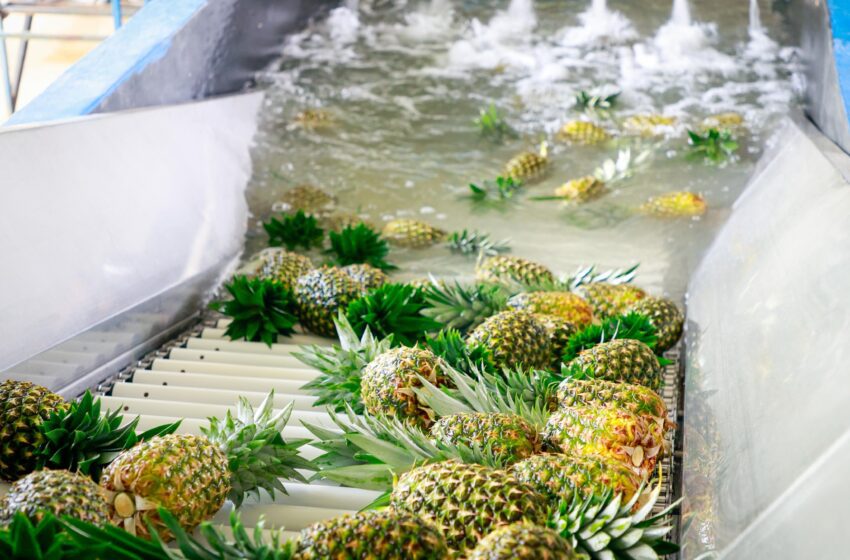  Exportaciones panameñas alcanzan US$905.4 millones y cierran 2025 con el mejor desempeño de la última década