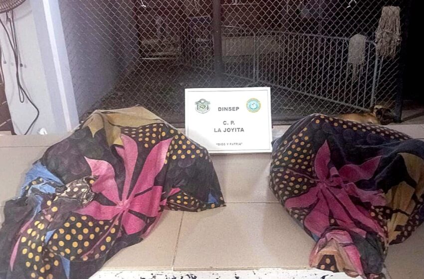  Aprehenden a un hombre con artículos prohibidos en los predios del Centro Penitenciario La Joya