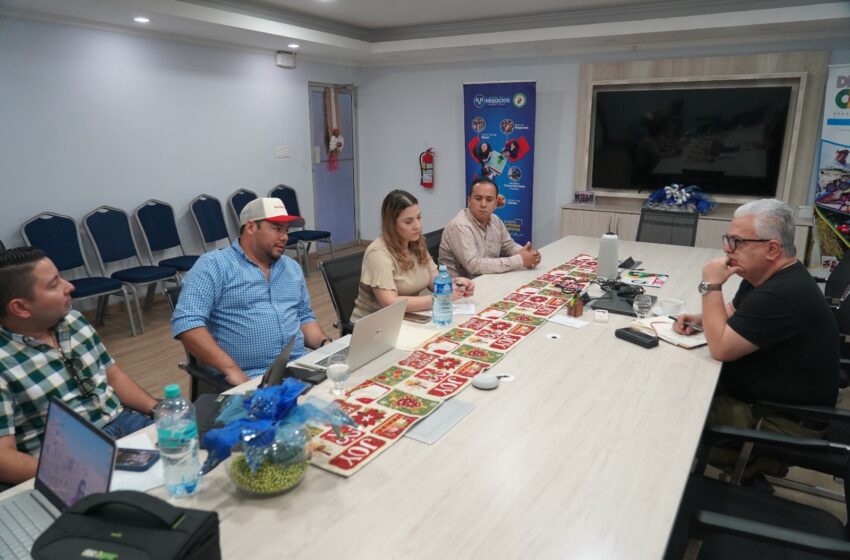  ISA evalúa ampliar la cobertura del seguro agrícola para productores cafetaleros