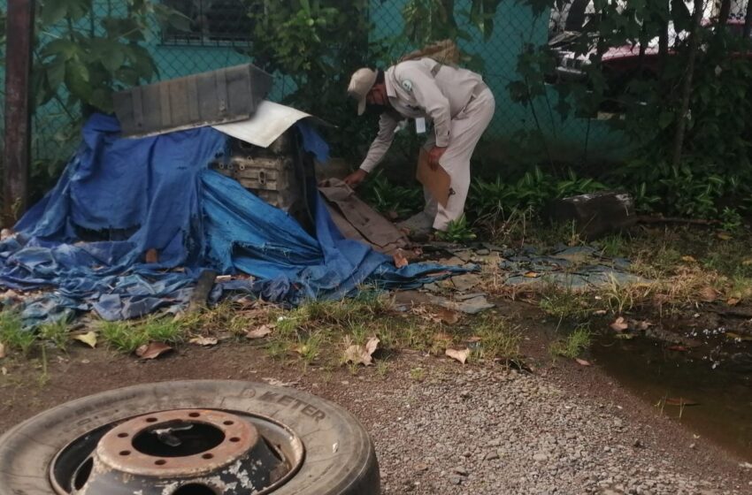  Minsa advierte aumento de casos de dengue en Chiriquí e insta a la población a eliminar criaderos