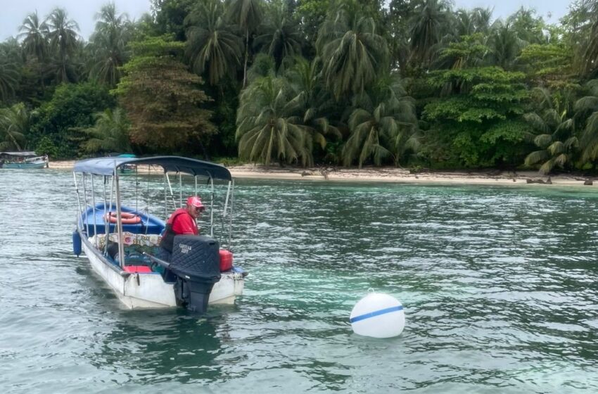  Refuerzan la protección de arrecifes y pastos marinos con instalación de boyas en el Parque Nacional Marino Isla Bastimentos