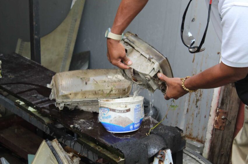  San Miguelito registró una notable reducción de casos de dengue en 2025