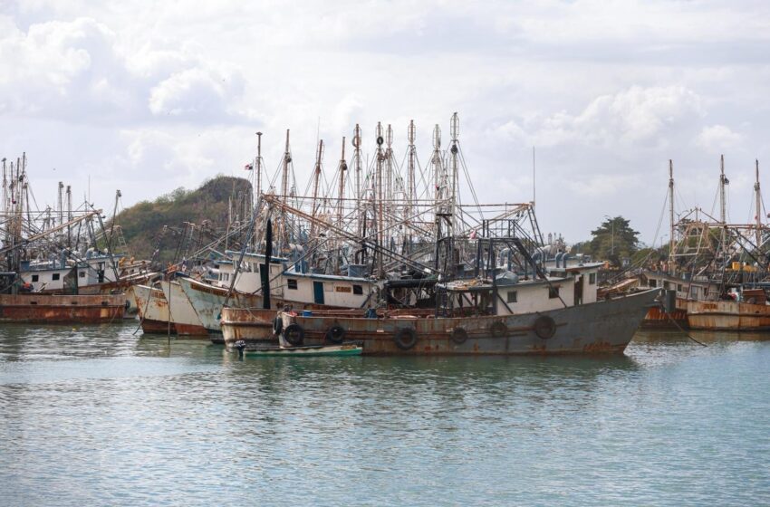  Vacamonte se consolida como polo estratégico para el desarrollo acuícola y pesquero del país