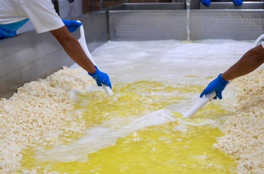  MICI inicia investigaciones y activa salvaguardia agrícola para proteger la producción nacional