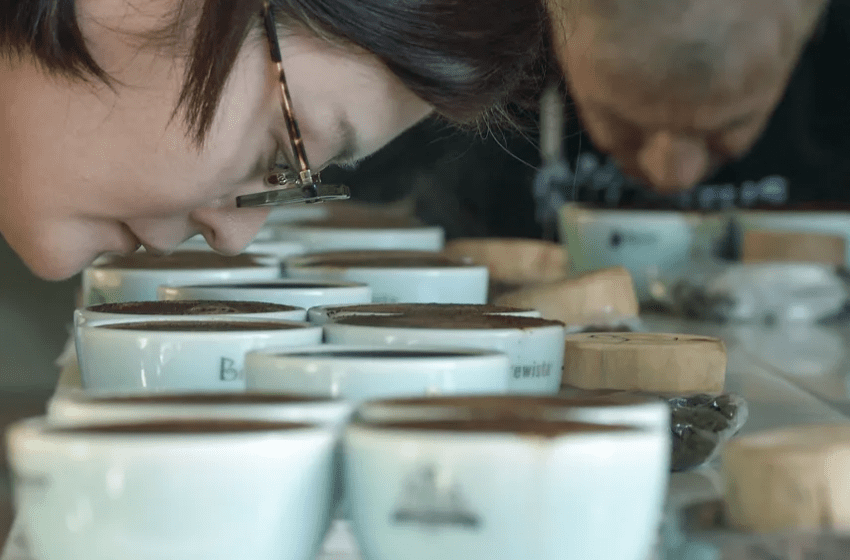  Chiriquí impulsa a Panamá como destino líder de café de especialidad con una propuesta turística única