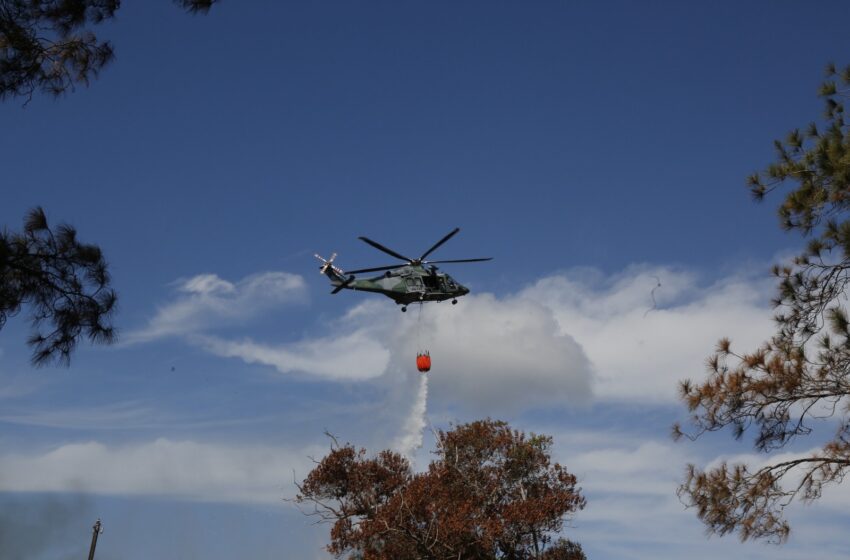  Fortalecen la capacidad de respuesta interinstitucional para la prevención de incendios de masa vegetal