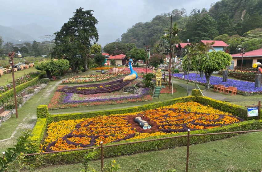  MIDA anuncia el inicio de la temporada nacional de ferias 2026