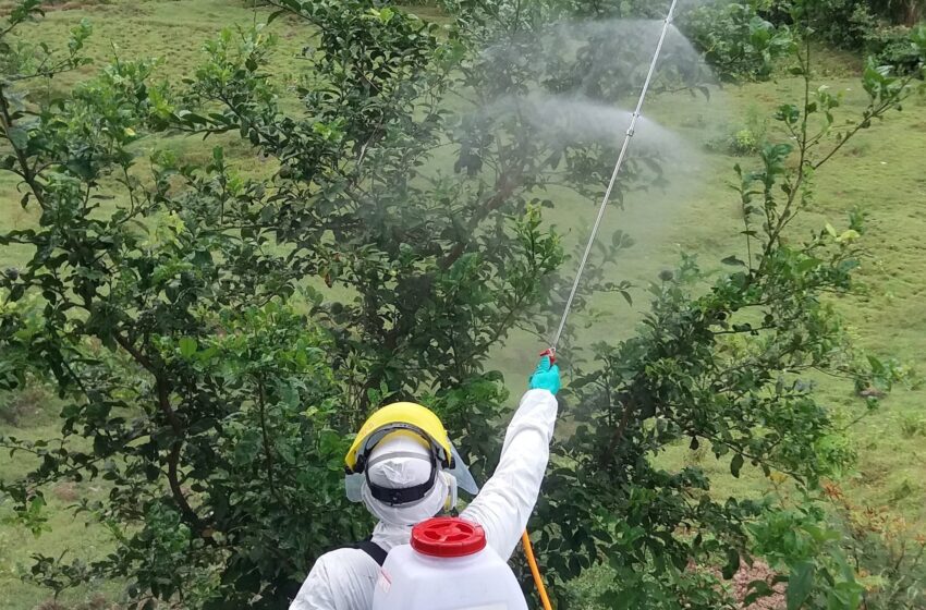  Gobierno prohíbe el uso de 8 plaguicidas de alta peligrosidad en el mercado agrícola