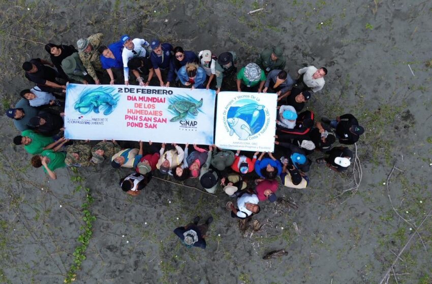  Parque Nacional San San Pond Sak marca récord en conservación con liberación de más de 14 mil crías de tortugas marinas en 2025