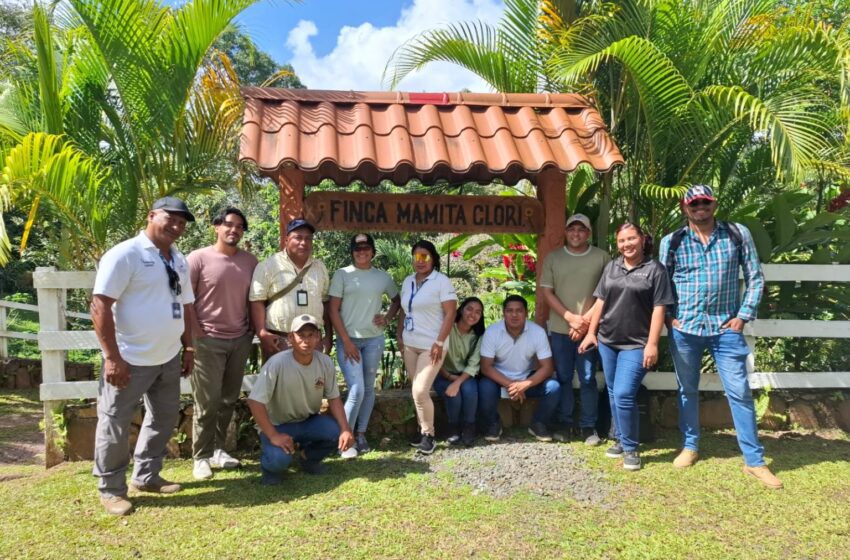  Avanza acreditación de fincas agroturísticas para fortalecer el turismo rural en Panamá Oeste