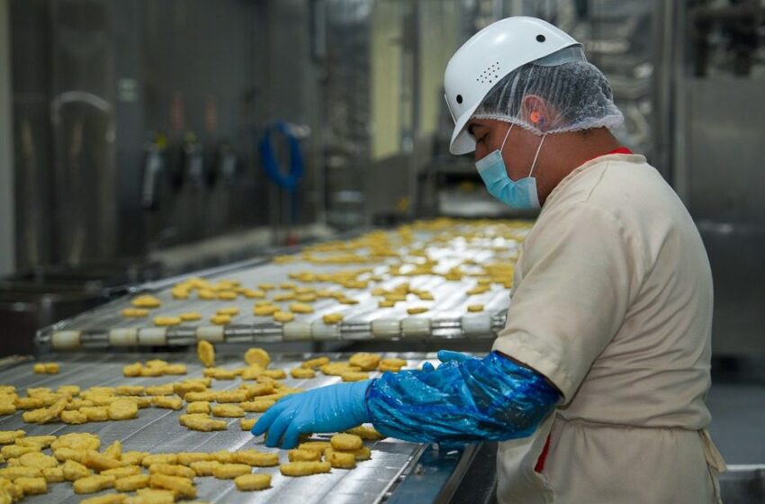  Sector avícola panameño impulsa modernización y certificaciones para expandir exportaciones