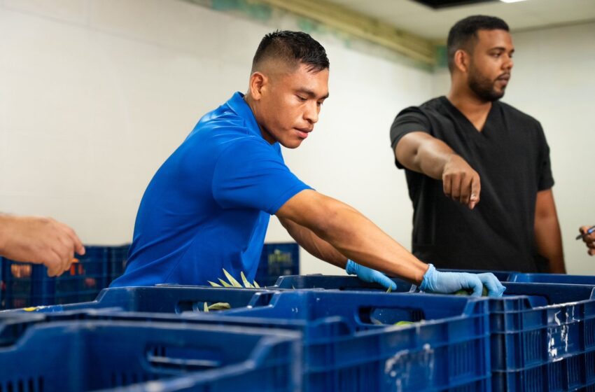  Meduca inicia entrega de alimentos para garantizar almuerzos escolares 