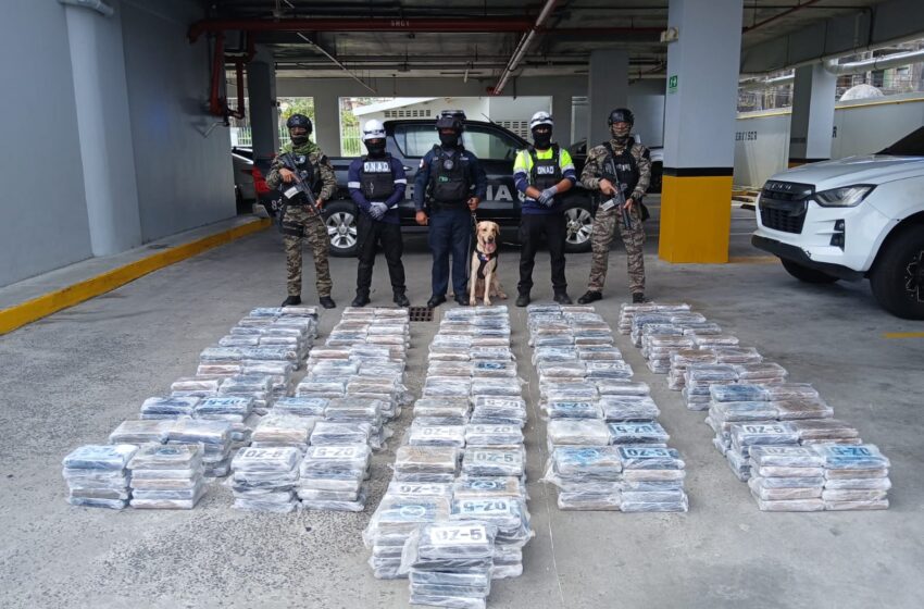  Decomisan más de 500 paquetes de presunta droga ocultos en contenedor en puerto de Colón