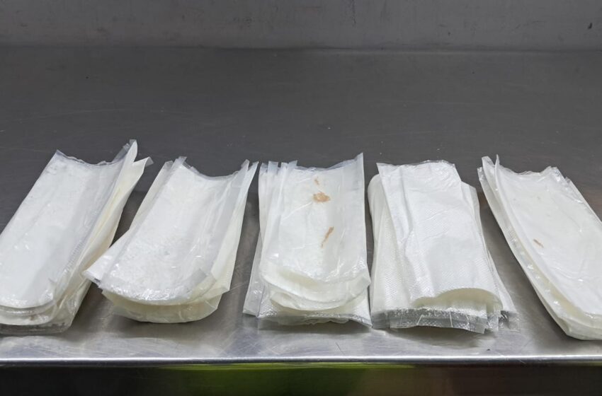  Allanamiento en Costa del Este permite incautar presunta droga con destino al extranjero