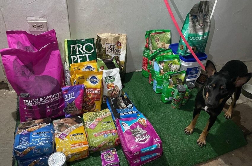  La Donatón por los Animales sin Hogar 2026 regresa para transformar miles de vidas en su octava edición