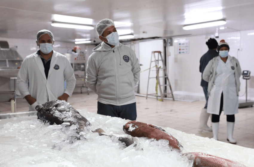  Exportaciones panameñas al Caribe ganan impulso con nuevos nichos y mayor valor agregado