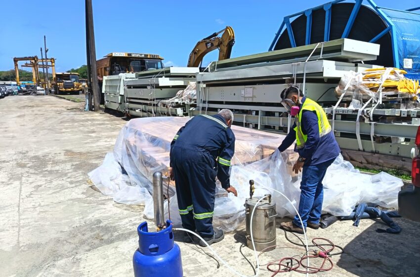  MIDA aplicó más de 90 mil tratamientos cuarentenarios en febrero para proteger el patrimonio agropecuario nacional